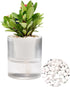 7 Inch Self Watering Pots,Clear Self-Watering Planters Box for Indoor Plants Flowers Outdoor Windowsill Gardens Comes with 1 Bag of White Pebbles...