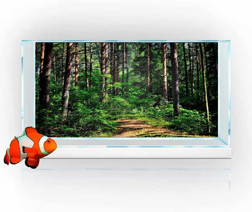 Fish Tank Background, Misty Forest Fish Tank Background Tropical Forest Aquarium Decor Backgrounds, Sunlight Through Forest Fish Background for Fi...