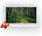 Fish Tank Background, Misty Forest Fish Tank Background Tropical Forest Aquarium Decor Backgrounds, Sunlight Through Forest Fish Background for Fi...