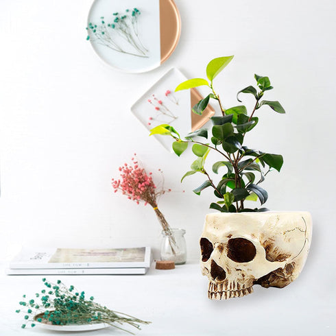 RMM Halloween Decoration Retro Human Skull Head Flower Pot Planter Bed Box Container Replica Home Bar Décor,Clear...