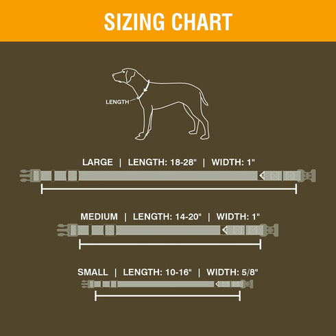 Browning Classic Preformance Webbing Pet Collar, Fully Adjustable, Available in Solid Colors and Camo Patterns, Realtree MAX-7, Small...