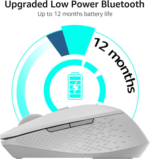 Rapoo M300G Silent Wireless Mouse, Bluetooth Mouse for Laptop, 2.4GHz with USB Receiver Computer Mouse, 2400 Adjustable DPI Optical Tracking, 1 Ye...