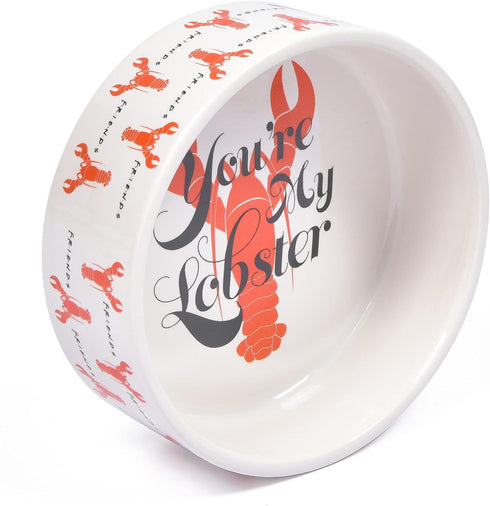 “You’re My Lobster” Cat Bowl, 5” 12.17oz Ceramic & Dishwasher-safe with Lobsters and Friends Logos | Friends Show Pet Products| Cat Bowls for Frie...