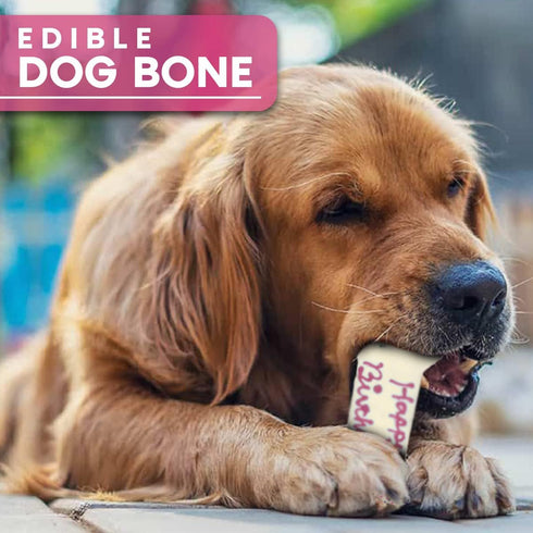 Girl Happy Birthday Dog Bone | Molasses Based Recipe with Human Grade Ingredients Wheat, Corn, and Soy Free | 100% Made in USA Edible Dog Bone for...