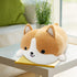 Fortuning's JDS 13.7”/35cm Corgi Plush Cute Pillow Dog Plush Kawaii Plush Cute Stuffed Animal Plush Pillows Corgi Stuffed Animal Plush Dog,Stuffed...