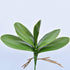 FagusHome 6 PCS Artificial Phalaenopsis Orchids Leaves 11 inches Green Faux Orchids Leaf (6 Pcs)...