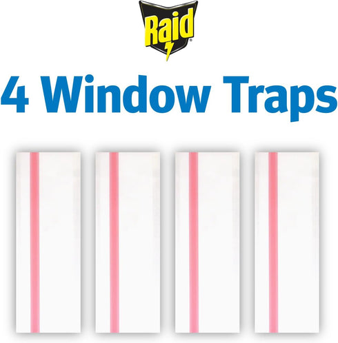 Raid Window Fly Traps, 4 Traps...