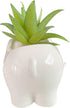 Cute Animal Elephant Shaped Ceramic Succulent Cactus Air Plant Flower Pots Planters-Plant Not Included (Small White)...