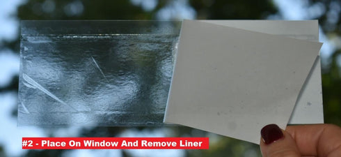 Window Fly Traps by Titan Traps - Sticky Fly Paper, Window Bug Catcher, Indoor Fly Trap, Fly Paper Bug Sticky Strips, Window Fly Strips, Bug Stick...