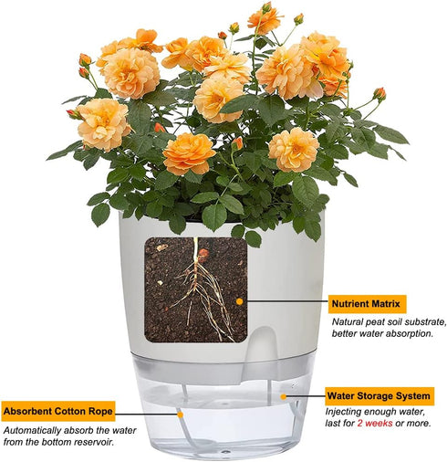 Self Watering Planters for Indoor Plants, 3 Pack 6 Inch African Violet Pots, Modern Decorative Flower Pots with Transparent Water Reservoir, Perfe...