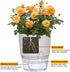 Self Watering Pots for Indoor Plants, 4 Pack 4.1 inch African Violet Pots, Modern Decorative Plant Pots with Transparent Water Reservoir, Perfect ...