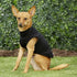 6 Pack Puppy Clothes for Small Dog Boy Summer Shirt for Chihuahua Yorkies Male Pet Tshirts Cat Clothing Black Security Vest Funny Apparel, Large...