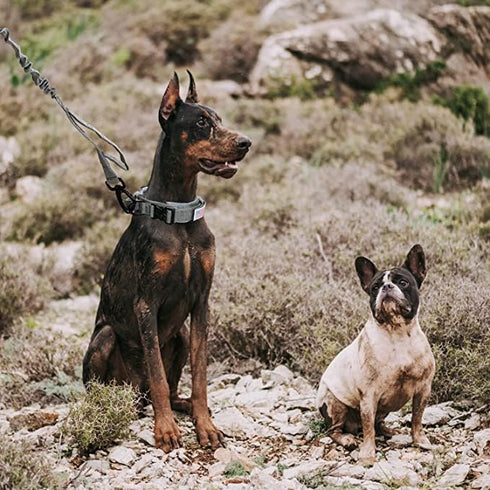 Tactical Dog Collar with Velcro, Adjustable Nylon Dog Collar with Heavy Duty Metal Buckle, K9 Military Dog Collar with Handle, Dog Collar for Smal...