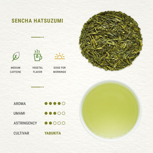 Senbird Premium Sencha - Japanese Green Tea - From Shizuoka, Japan - Loose Leaf Tea In Airtight Tea Tin (3.5oz/100g)...