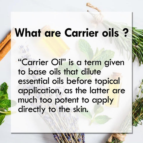 Pure Wheatgerm Oil (Triticum vulgare) Cold Pressed 10ml (0.33 oz)...