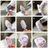 Cake Flower Nail Lifters Set - Stainless-Steel Baking Tools,6 Pcs,Icing Flowers Decoration...