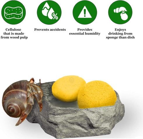 Hermit Crab Sponges for Water, 3 Pack Unbleached Hermit Crab Accessories & Supplies, Pet Crab Sponges Provide Nutrients and Maintain Tank Humidity...