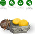 Hermit Crab Sponges for Water, 3 Pack Unbleached Hermit Crab Accessories & Supplies, Pet Crab Sponges Provide Nutrients and Maintain Tank Humidity...