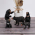 Realistic Wild Life Jungle Animal Figures Model Black Bear Family Playset Eduactional Toys Playset Figurine Statue Classroom Desktop Decoration fo...