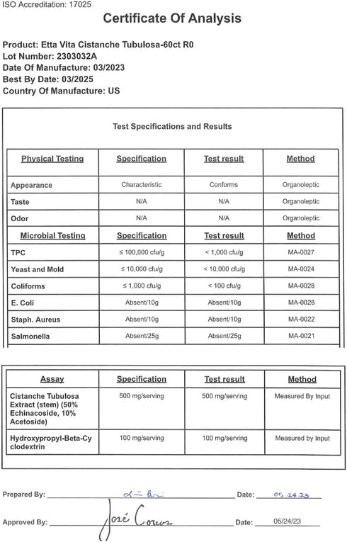 Potent Cistanche Tubulosa Capsules (500 mg) Stress Response, Mood & Cortisol Support (2X Potent 50% Echinacoside/10% Acetoside) Hormonal Balance f...