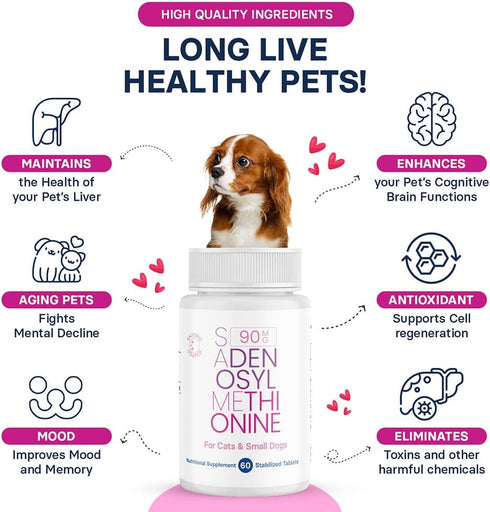 SAM-e Liver and Brain Health Supplement for Small Dogs and Cats - with S-aDENOSYLmethionine (Same), 60 Coated Tablets...