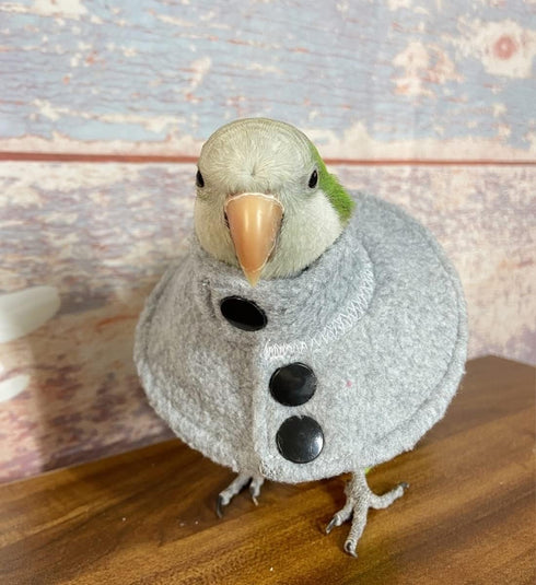 Adjustable Recovery Bird Cone Collar, Elizabeth Protective Collar, Safe and Practical Neck Sleeve for Preventing Bite and Licking Wound Healing wi...