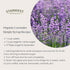 Starwest Botanicals Lavender Flowers Extra Organic Eco-Friendly (.49 oz)...
