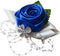 Arlai 1 pcs Wedding Bridesmaid Bride Wrist Corsage Decoration Hand Flower, Dark Blue...