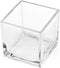 CYS EXCEL Glass Cube Vase 4"x4"x4" | Square Wedding Flower Vase Centerpieces | Cubic Glass Candle Holder...