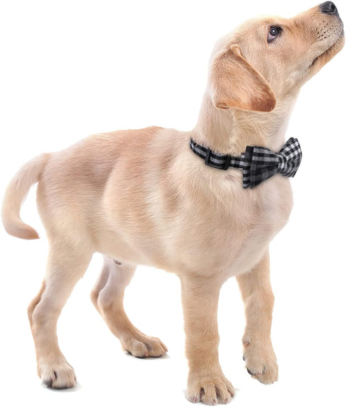 Soft &Comfy Bowtie Dog Collar,Detachable and Adjustable Bow Tie Collar,for Small Medium Large Pet (Medium (Pack of 1), Black and Whit)...