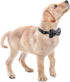 Soft &Comfy Bowtie Dog Collar,Detachable and Adjustable Bow Tie Collar,for Small Medium Large Pet (Medium (Pack of 1), Black and Whit)...