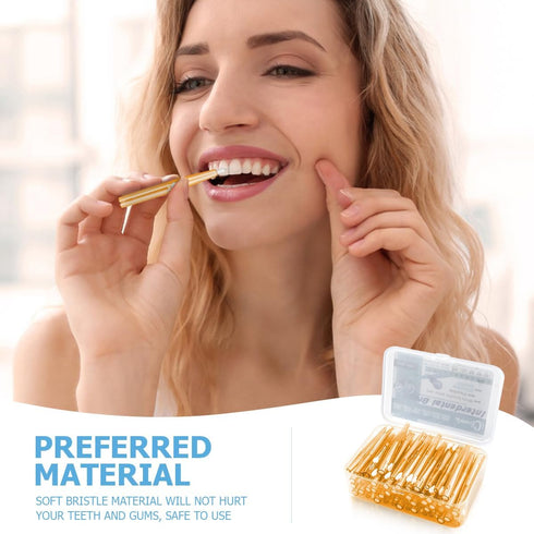 60PCS Soft Toothpick Refill Interdental Brush Push-Pull Type Tooth Cleaning Tool Tooth Flossing Head Oral Dental Hygiene Brush for Braces...