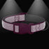 Didog Reflective Dog Collar with Buckle, Adjustable Soft Neoprene Padded Nylon Pet Collars for Small Medium Large Dogs, Hot Pink, M...