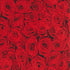 Jacob Alexander Men's Red Floral Roses Flowers Design Regular Length Neck Tie - Red...