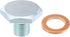 X AUTOHAUX M10x1.25 Steel Engine Oil Drain Plug Screw with Seal Ring for Mazda for Ford Focus Silver Tone...