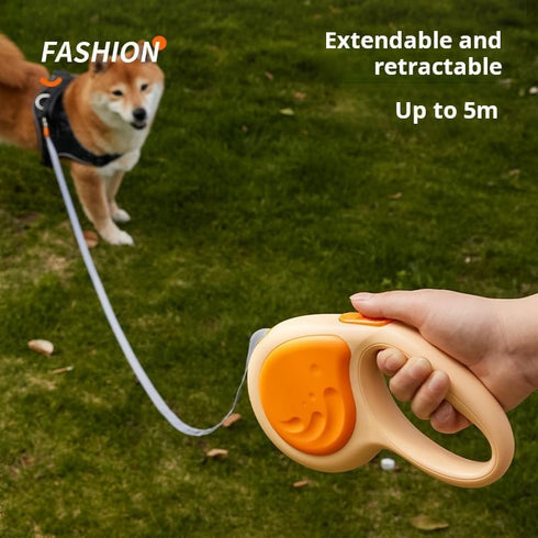 Retractable Dog Lead, Automatic Extendable 10ft/16ft Pet Leash Small, Medium and Large Dog Walking Leash (Orange, 10ft/3m)...