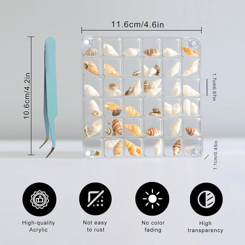 Acrylic Magnetic Seashell Display Box 36 Grids Seashell Storage Box Display Case Decorative Seashell Starfish Trinket, Small Craft Organizers Cont...