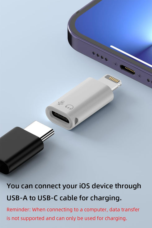 AreMe 2 Pack USB C/USB 3.0 Female to Lightning Male OTG Adapter for iPhone/iPad, Support Connect Card Reader, U Disk, USB Flash Drive, Keyboard, M...