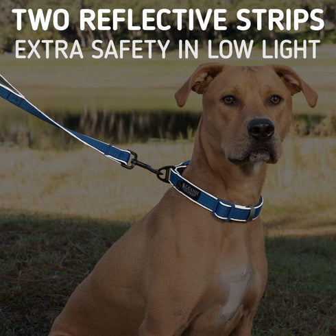 Leashboss 6ft Dog Leash | Ultra Comfort Double-Thick Soft Padded Handle | Reflective Leash for Large Dogs, Medium Dogs | Heavy Duty Leash for Larg...