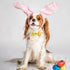 PET SHOW 10pcs Easter Day Small Dog Bow Ties for Medium Dogs Puppies Rabbit Cat Detachable Bowties with Elastic Bands Attach to Collar Pet Groomin...