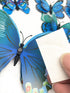 12PCS PVC 3D Butterfly Fridge Magnets Refrigerator Magnets Wall Stickers with Magnet for Wall Decor Art Decor Crafts Home Party Decoration (Blue)....