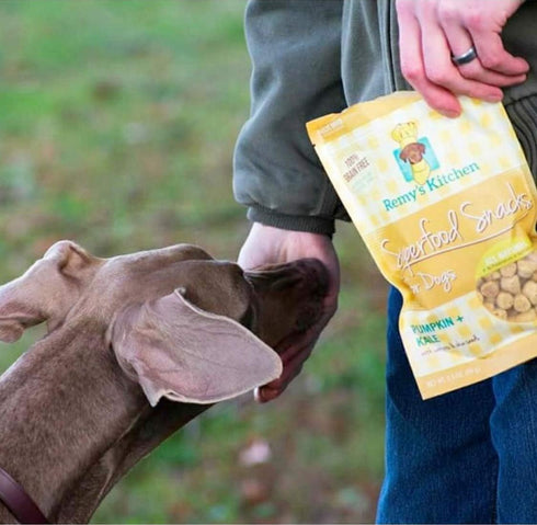 Freeze Dried Superfood Snacks for Dogs Pumpkin+Kale All Natural Dog Treat...