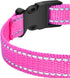PetJoy Shock Collar Replacement Collar Strap, Reflective Dog Collars Strong, Durable & Adjustable Dog Collar- 2 Piece Set Collar for Dogs...