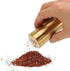 CHICIRIS Salt and Pepper Shaker, 2 Packs Stainless Steel Spice Shaker Gold Salt Container with Fine Mesh, Small Kitchen Gadgets, Spice Jars Season...