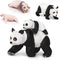 Animal Life Cycle Model Figure 4 PCS Panda Growth Model Classroom Accessories Party Supplies Cake Toppers Desktop Decoration Educational Developme...