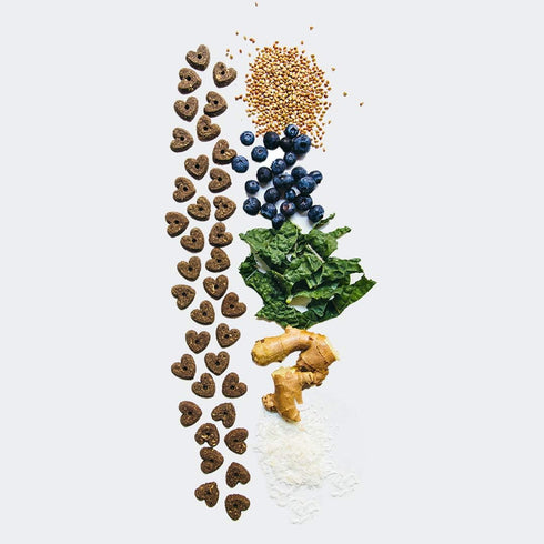 V-Dog Vegan Wiggle Biscuit Organic Dog Treats, Peanut Butter, 10 Ounce, Superfoods...