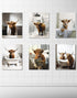 MINI ZOZI Cow Bathroom Decor 8x10 6PCS Canvas Pictures Wall Decor Funny Highland Cow Prints Art Rustic Farmhouse Modern Style Restroom Bath Painti...