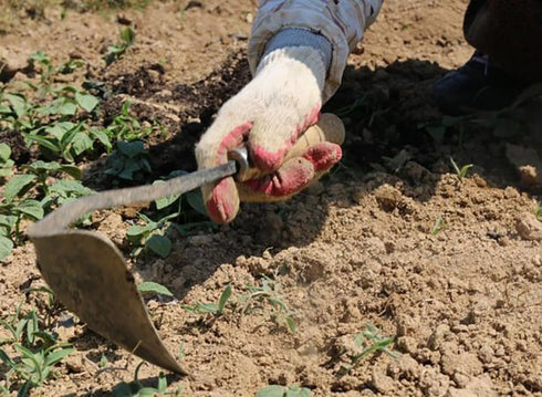 Korean Homi Hand Plow Garden Tools/Garden plow/Weeding Sickle/Weeding Farming Tool/Hand Hoe??...