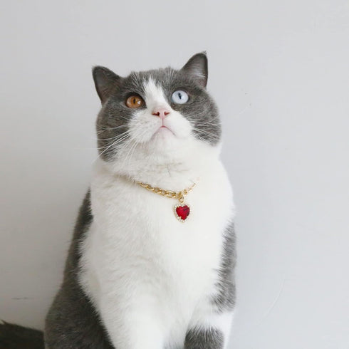 Cat Necklace Collar with Heart Rhinestone Pendant, Lightweight Adjustable Shine Diamond Cute Girl Wedding Birthday Party Pet Necklace Costume Acce...