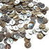 New Upick 11/13/15/23mm 100pcs Shell Buttons Sewing Craft Buttons 2 Holes (23mm)...
